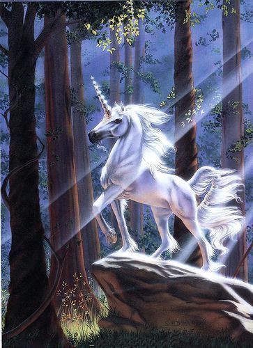 Poeme Licorne